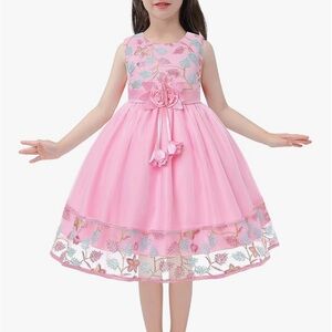 NWT-Pink Floral Embroidered Dress